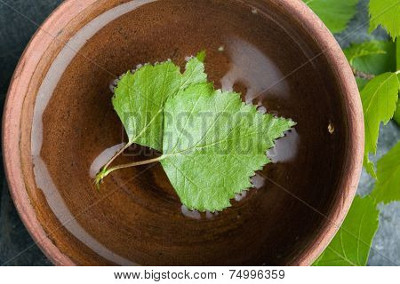Natural spa with fresh birch leaves