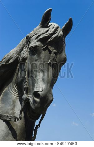 Close-up of a horse statue, Theodoros Kolokotronis, Athens, Greece