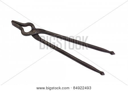 Close-up of a tong pakkad