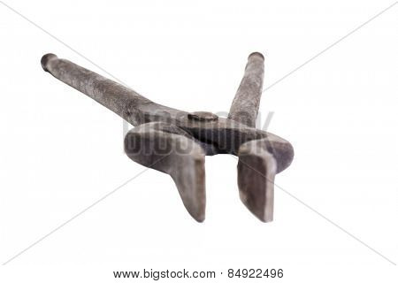 Close-up of a tong pakkad