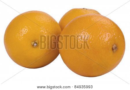 Close-up of oranges