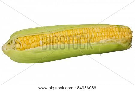 Close-up of a corn cob