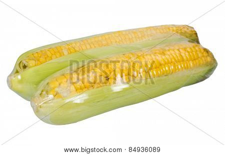Close-up of corn cobs