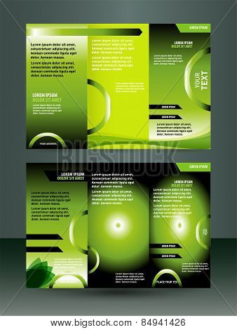 Three fold business brochure template, corporate flyer
