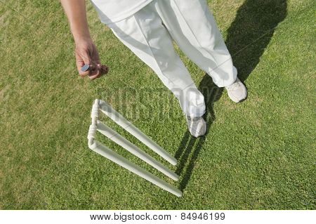 High angle view of a cricket player tossing a coin