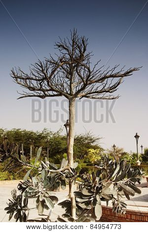 Statues of plants in a garden, Garden of Five Senses, Saidul Ajaib, New Delhi, India