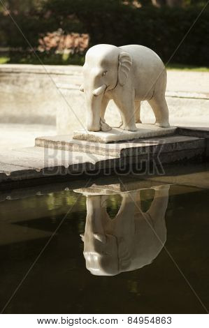 Reflection of an elephant statue on water, Lakshmi Narayan Temple, New Delhi, India