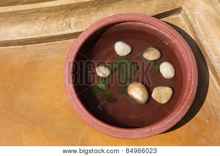 Close-up of a birdbath, Jaisalmer, Rajasthan, India