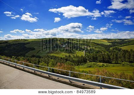 Trees on a hill, Vallata, Avellino, Campania, Italy