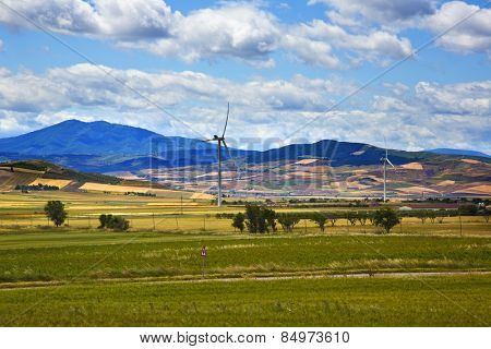 Wind turbines in a field, Vallata, Avellino, Campania, Italy
