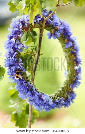 Chaplet จาก Cornflowers สีฟ้า