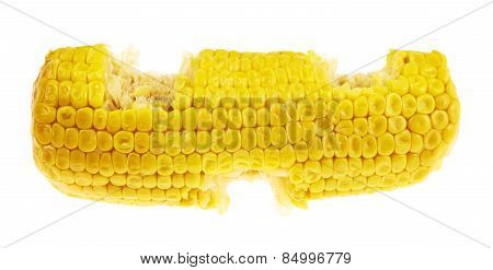 Cornstick corn on the cob isolated