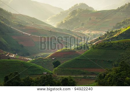 Rice fields on terraced in rainny season at Mu Cang Chai, Yen Bai, Vietnam.
