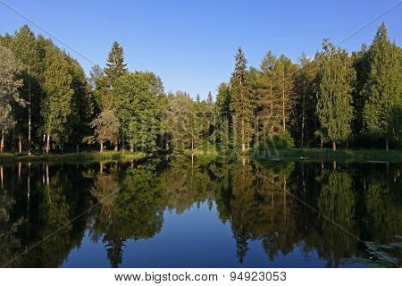 Lake of the Woods