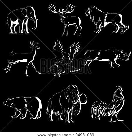 Zoo animals vector collection