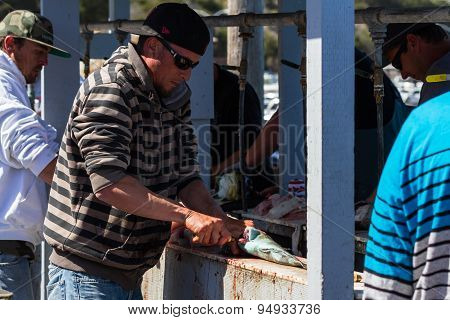 Fisherman At Work
