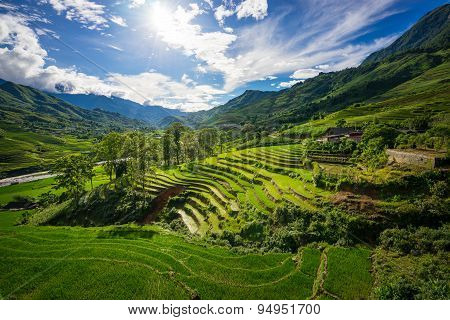Rice fields on terraced in rainny season at SAPA, Lao Cai, Vietnam.