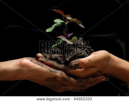 Save Trees
