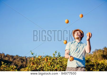 Cheerful young man juggling oranges on citrus farm