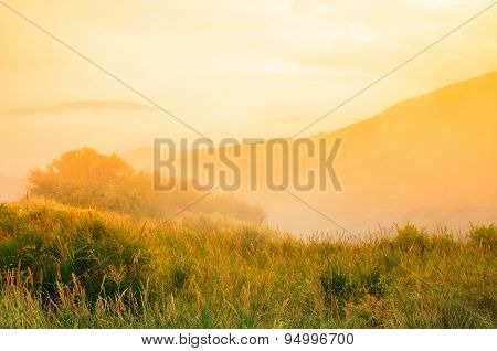Landscape At Sunset