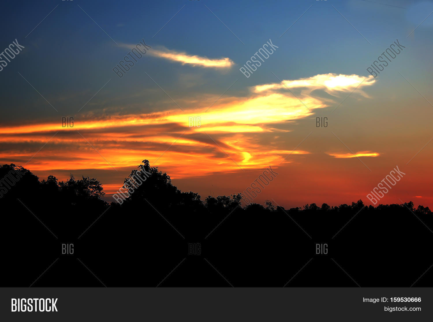 Really Rice Sunset Evening Sun Rice Image & Photo (Free Trial) | Bigstock