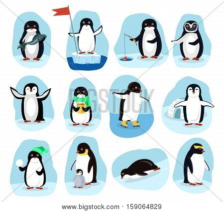 Penguins daily activities posters set. Fishing, medical aid, drinking coffee, nursering, playing. Funny polar winter birds banners greeting cards. Cartoon character wild penguin in flat style. Vector