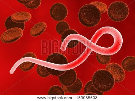 Ebola virus in blood with red blood cells, hemorrhagic fever virus. 3D illustration