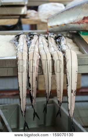 Fish on market black scabbard (espada) in fish market