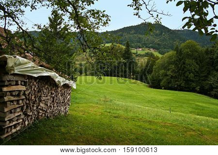 Schwarzwald / Black Forest / View over the hills and forest of Black Forest.