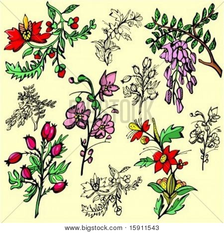 Vektorové ilustrace květin.