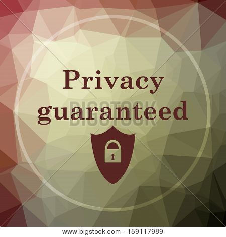 Privacy Guaranteed Icon