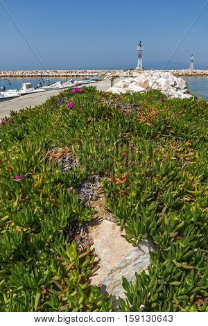 Seascape with Spring flowers and pier in Skala Sotiros, Thassos island, East Macedonia and Thrace, Greece