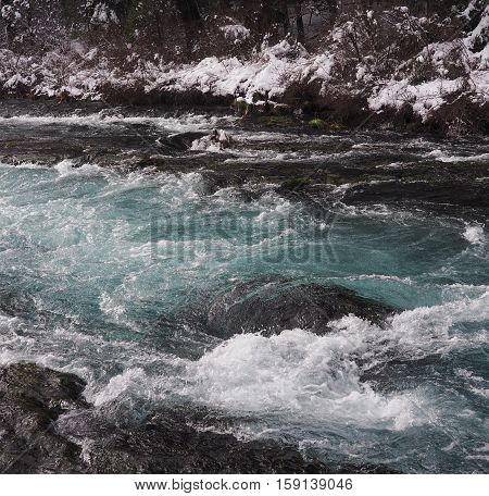 The rich turquois waters of the Metolius River at Wizard Falls on a winter afternoon.