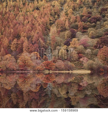 Beautiful Autumn Fall Landscape Image Of Lake Buttermere In Lake District England