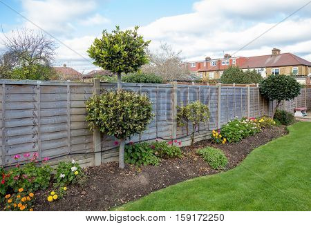 Flower bed in a typical urban english garden