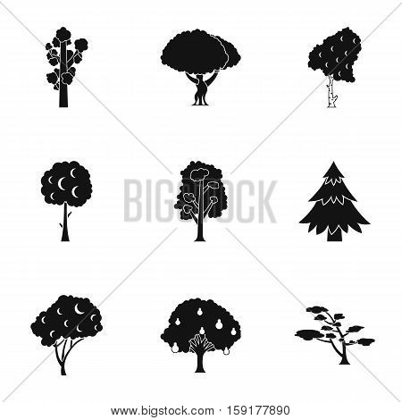 Arboreal plant icons set. Simple illustration of 9 arboreal plant vector icons for web
