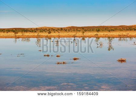 Birds In The Lake Of Oasis In Sahara Desert