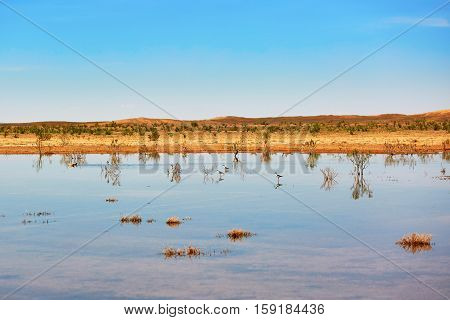 Birds In The Lake Of Oasis In Sahara Desert