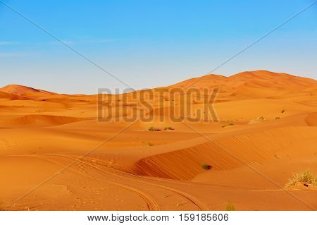 Sand Dunes In The Sahara Desert