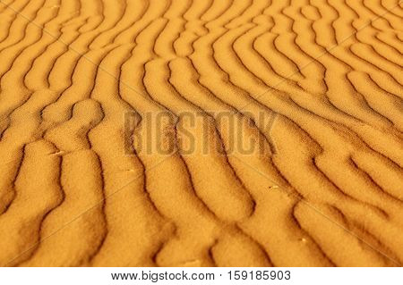 Sand Dunes In The Sahara Desert