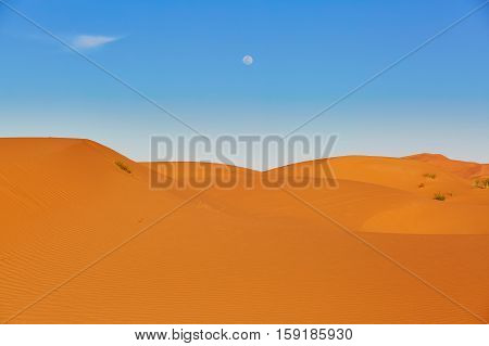 Sand Dunes In The Sahara Desert