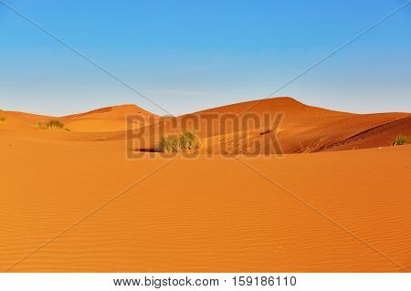 Sand Dunes In The Sahara Desert