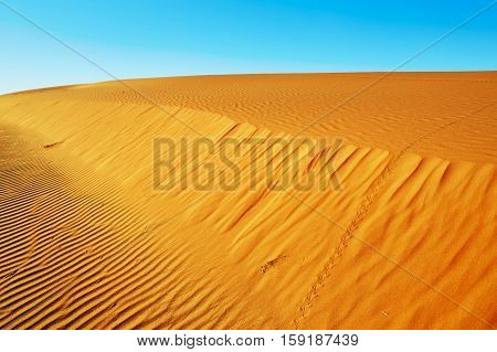 Sand Dunes In The Sahara Desert