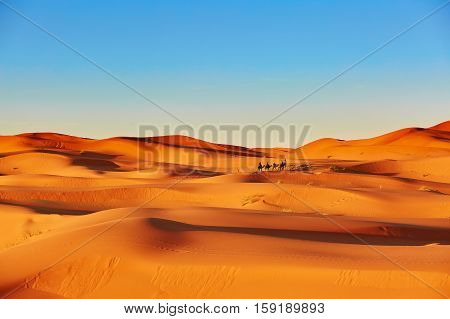 Sand Dunes In The Sahara Desert