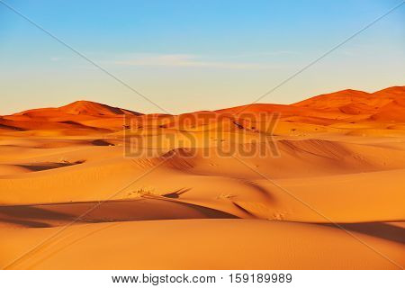 Sand Dunes In The Sahara Desert