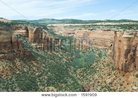 Ute Canyon
