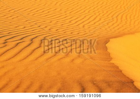 Sand Dunes In The Sahara Desert