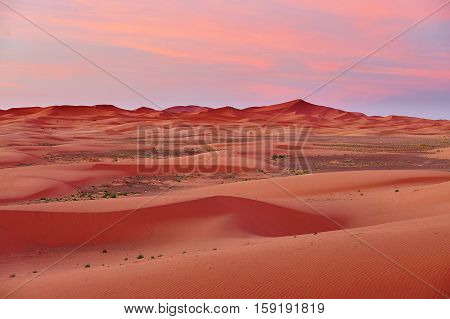 Sand Dunes In The Sahara Desert