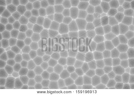 white and gray polystyrene abstract texture for background Insulation Material