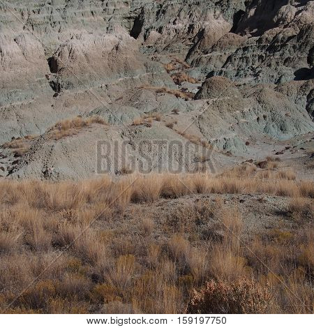 Wild grasses and the unique geology of The John Day Fossil Beds in Eastern Oregon on a fall morning.